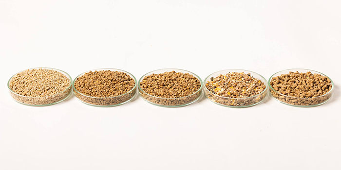 The role of laboratory testing in modern animal nutrition and food ...