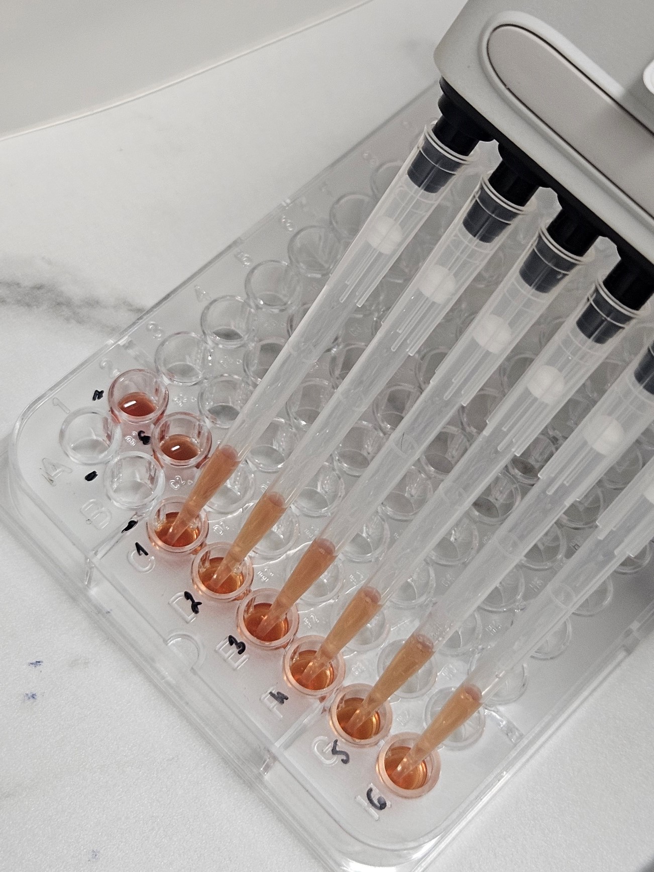 Elisa módszer salmonella vizsgálat