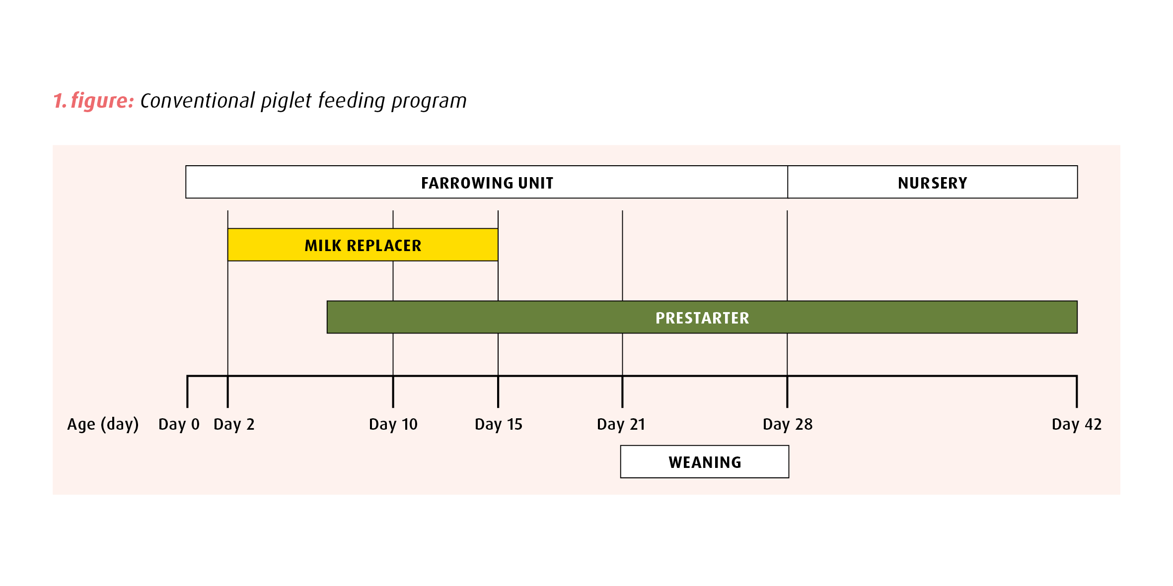 Platino NEO Liquid piglet feeding