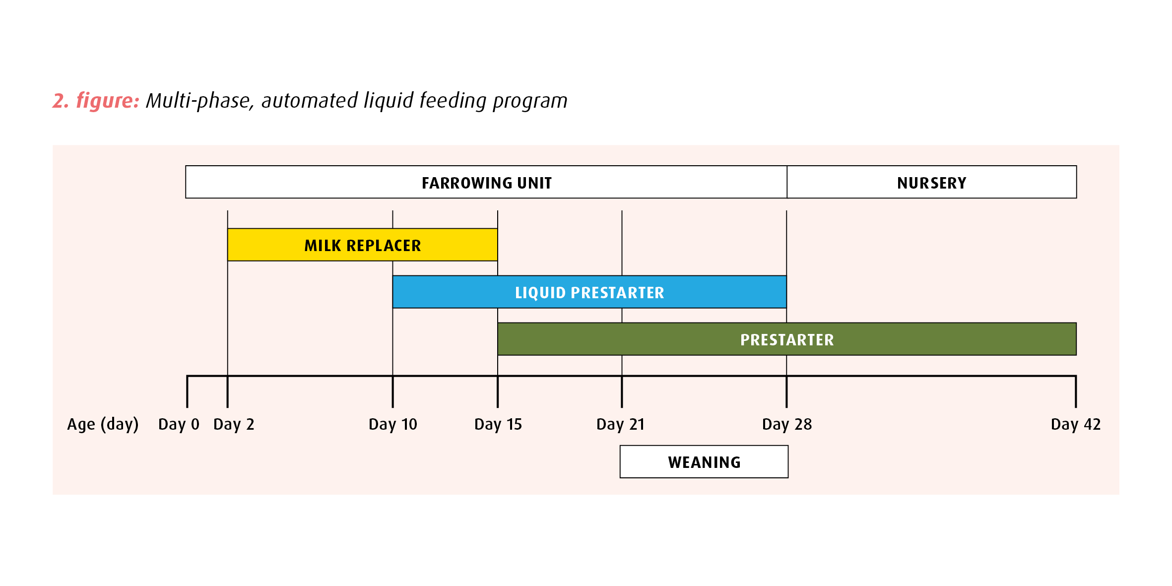 Platino NEO Liquid piglet feeding